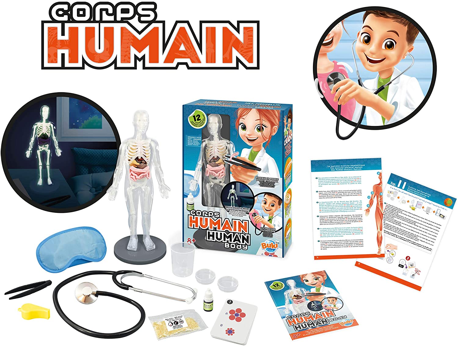 Jeu Éducatif Le Corps Humain - Modèle Anatomique avec Organes et Squelette