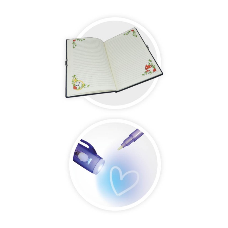 Secret Book (4)