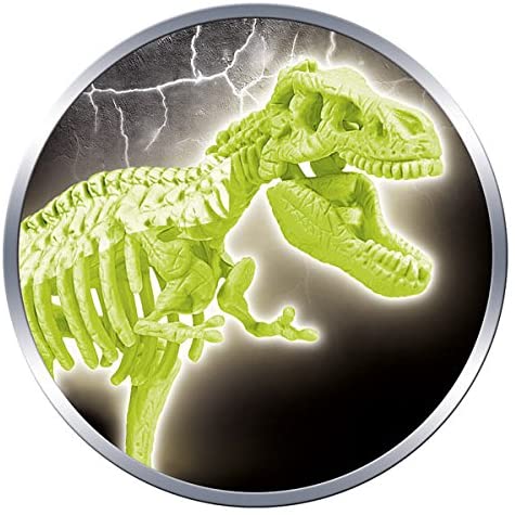 Kit Archéologie Squelettes Fluorescents T-Rex et Tricératops