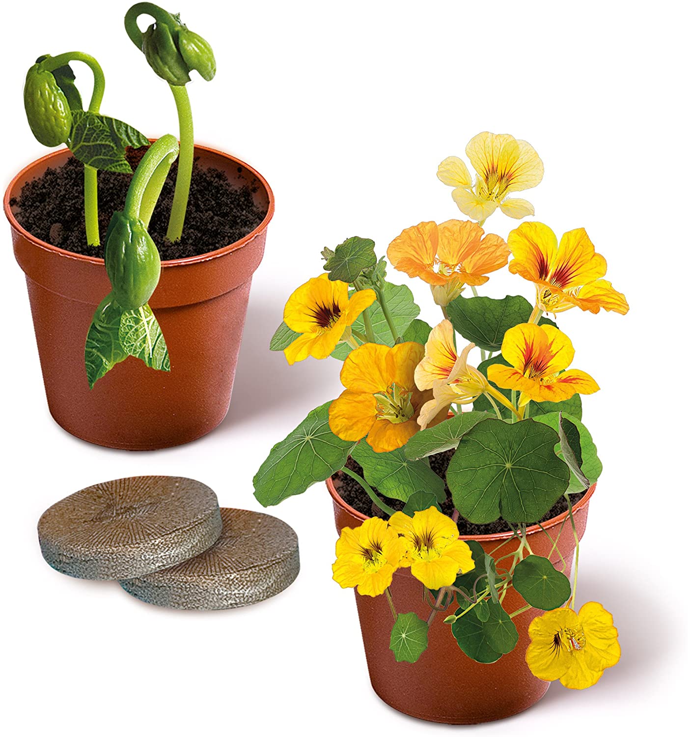 Kit de jardinage enfant - Coffret du scientifique avec serre et semis