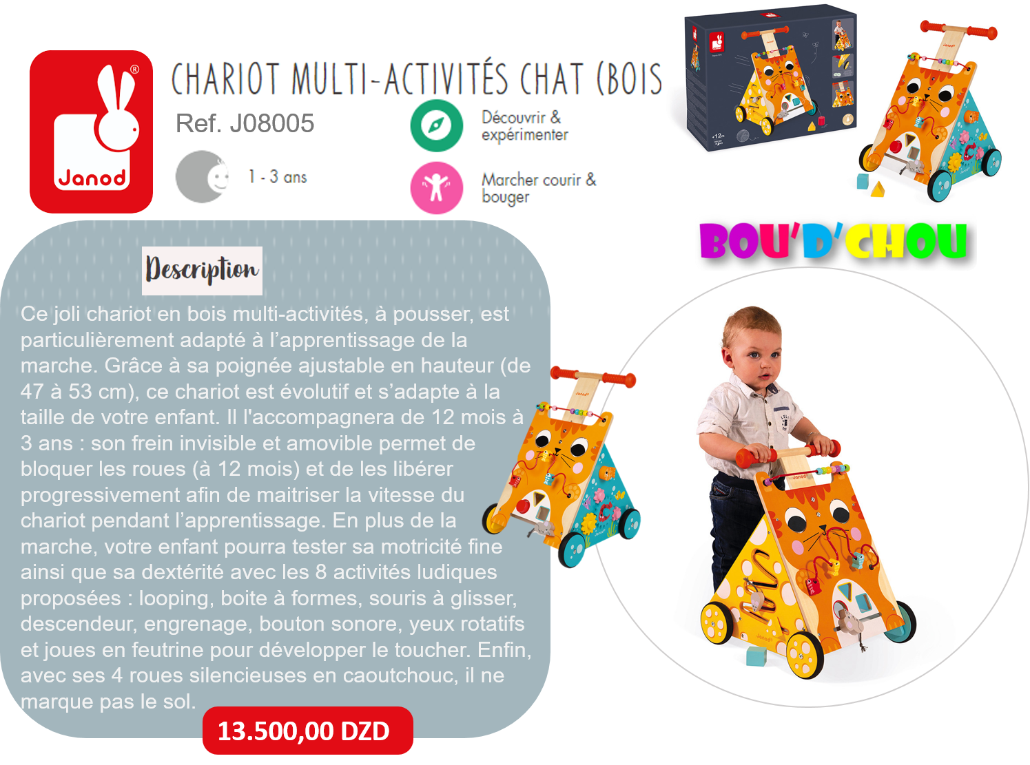 Chariot Multi-Activités Chat en Bois - Jouet d'Apprentissage de la Marche
